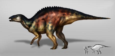 Fauna prehistórica descubierta en México