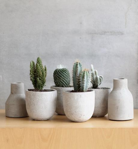 Pon cactus en macetas de cemento y agrupadas. Son muy fáciles de hacer.