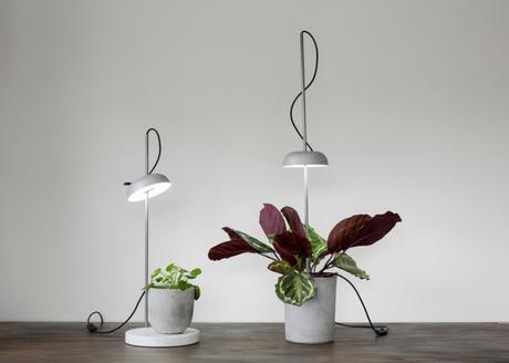 growlight- Hallgeir-Homstvedt-design