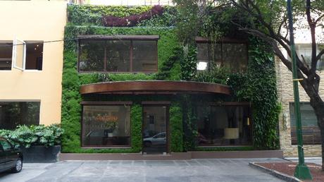 Jardines verticales en México, los cinco mejores muros verdes en méxico