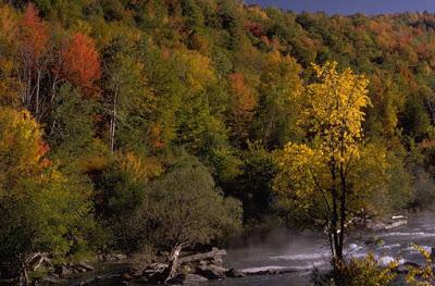 Para recordar... (2)