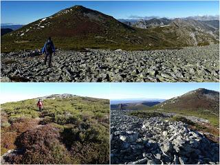 Alto del Bustillo-Amargones-Alto de la Tijera-Feliciano