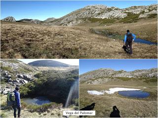 Alto del Bustillo-Amargones-Alto de la Tijera-Feliciano