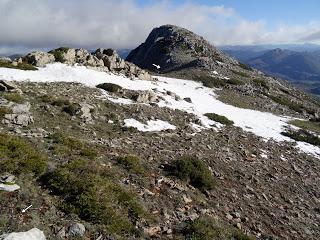 Alto del Bustillo-Amargones-Alto de la Tijera-Feliciano