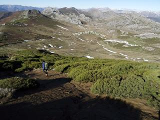 Alto del Bustillo-Amargones-Alto de la Tijera-Feliciano