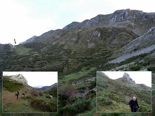 Alto del Bustillo-Amargones-Alto de la Tijera-Feliciano