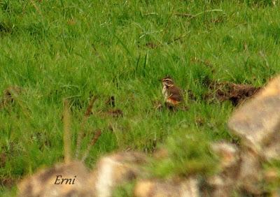 LLEGÓ EL INVIERNO... DE VERDAD