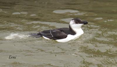 LLEGÓ EL INVIERNO... DE VERDAD