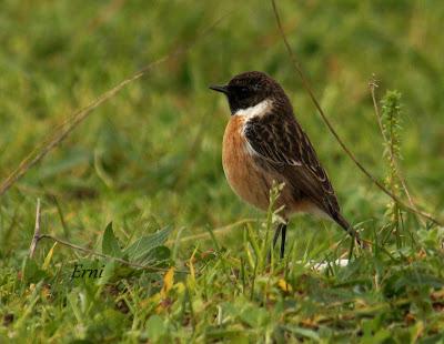 LLEGÓ EL INVIERNO... DE VERDAD