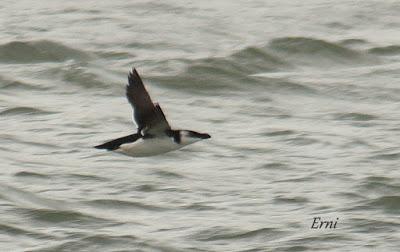 LLEGÓ EL INVIERNO... DE VERDAD