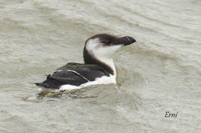 LLEGÓ EL INVIERNO... DE VERDAD