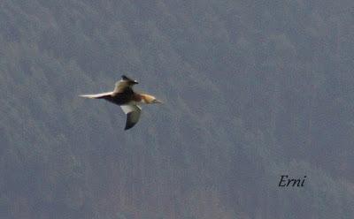 LLEGÓ EL INVIERNO... DE VERDAD