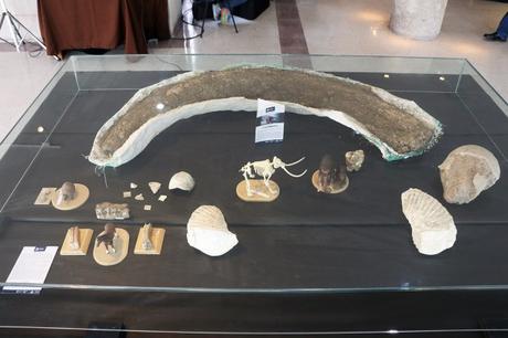 02_15_2016 INAUGURACION EXPOSICION LA NATURALEZA DE DARWIN IMG_7629