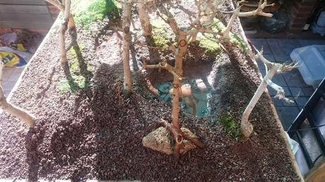 Diorama con Acers Campestres  : 12 El bosque sigue creciendo .