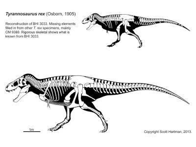 Escala del plagio en la ilustración paleontológica