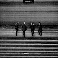 Entrevista a Temible