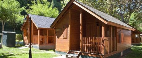 vacaciones rurales con perros