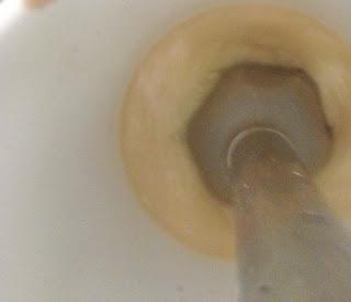 ARROZ ROJO CON CALABAZA, SETAS PASAS Y PIÑONES