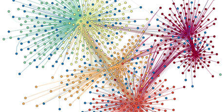 Once principios de la Inteligencia Ciudadana*