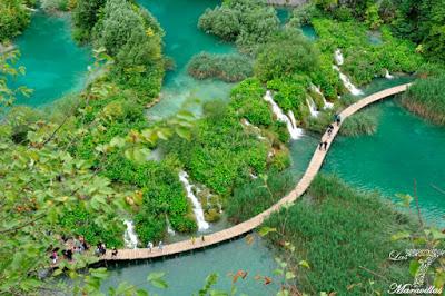 Vista Aerea Parque Nacional de los Lagos