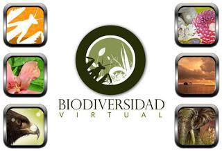 Villacarrillo en BV Racing