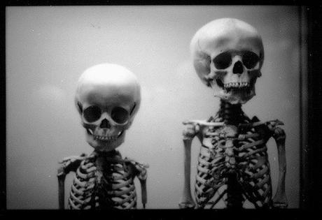 Siete esqueletos decapitados — Antonio Malpica