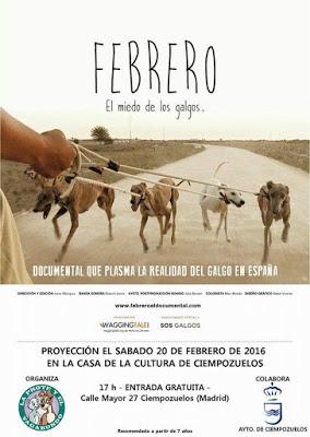 Febrero, el miedo de los galgos (2013) Irene Blánquez
