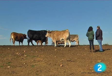 Bodega El Capricho TVE