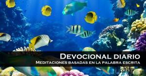 Blog_MeditacionesJueves