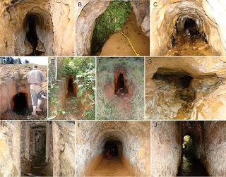 Opiliones en cuevas artificiales de Brasil