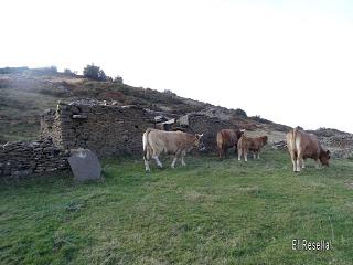 Santibanes de Murias-Veraniego-El Cople