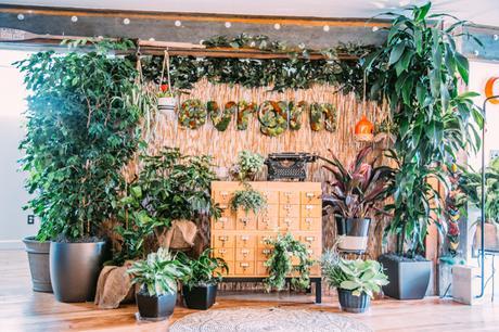 Noches de bohemia Noches de bohemia