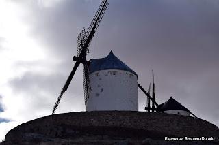 LOS MOLINOS DE LA MANCHA.