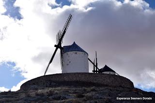 LOS MOLINOS DE LA MANCHA.