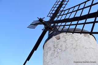 LOS MOLINOS DE LA MANCHA.