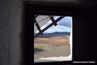 LOS MOLINOS DE LA MANCHA.