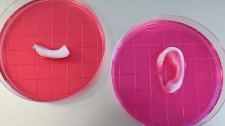 La impresion 3D ya es capaz de crear huesos, cartilagos y musculos  para humanos.