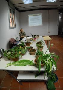 Panorama_Taller_HMedicinal_04