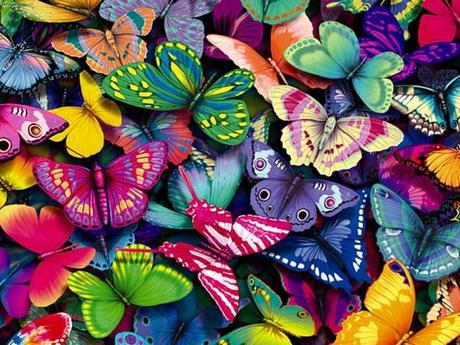 mariposas-de-colores