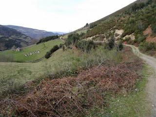 El Rasón-Valle Fresnosa-El Cordal