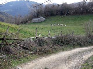 El Rasón-Valle Fresnosa-El Cordal