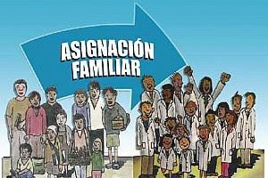 Asignación Familiar, 2016