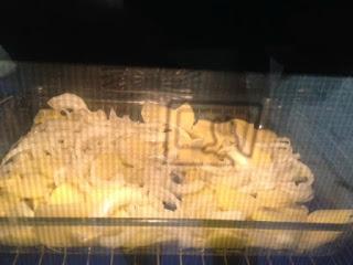 RODABALLO AL HORNO CON PATATAS Y CEBOLLA