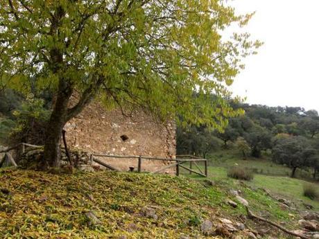 cordoba-escapada-pueblos-con-encanto-41