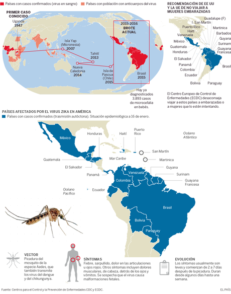 El Zika y su relación con la microcefalia