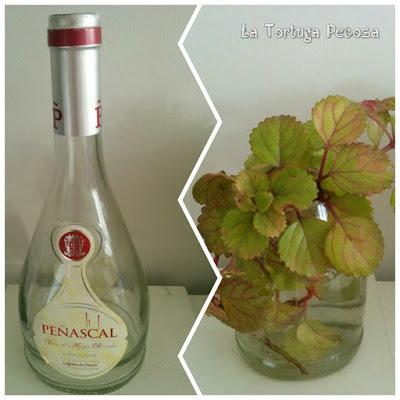 BOTELLA JARRON PEÑASCAL