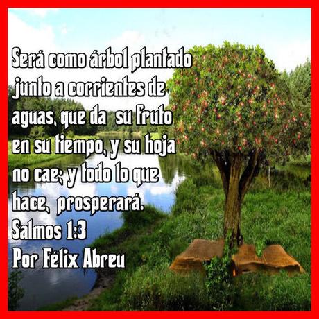 El Árbol Confundido