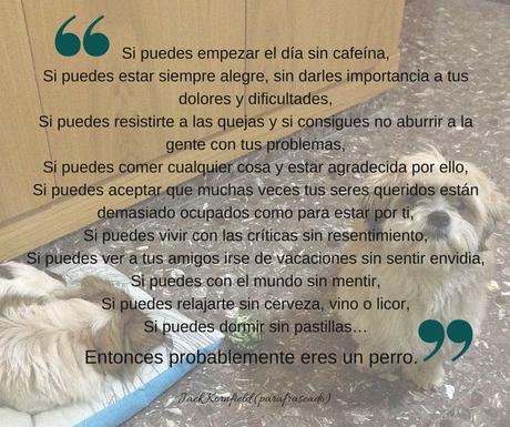 La ilusión de la perfección