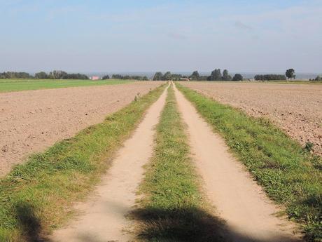 Un encuentro con la magia El camino que lleva a la granja