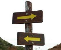 Intereses cruzados (Leandro Murciego)